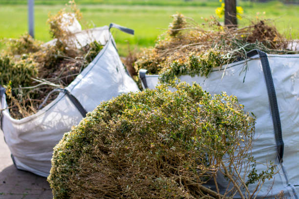 Best Estate Cleanout Services  in Morro Bay, CA