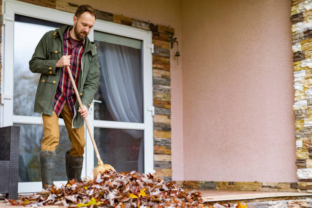 Best Dumpster Rental Services  in Morro Bay, CA